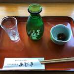 手打ち駅前そば あびき - 