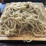 手打ち駅前そば あびき - 