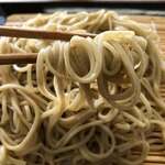 手打ち駅前そば あびき - 