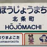 手打ち駅前そば あびき - 