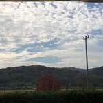 手打ち駅前そば あびき - 