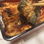 うなぎ料理 よね山 - 鰻は2段