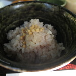 RESTAURANT 1899 - （2025/10月）抹茶味噌の鯛茶漬け