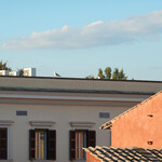 Donna Camilla Savelli - VRetreats - 屋根の上にカモメ