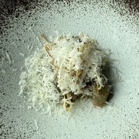 アルヴァ(アマン東京) - フェットチーネ　山梨県産甲斐路軍鶏のラグー