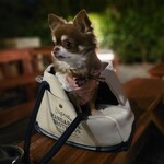 炭焼地鶏 山蔵 - 