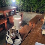 炭焼地鶏 山蔵 - ストーブ出してくれてありがとうございます。