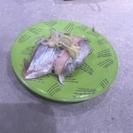 回転寿司 根室花まる - トロにしん