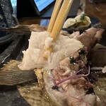 酒場 えびす堂 - 【2025.12.2(火)】コース料理