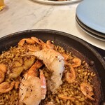 Rigo SPANISH ITALIAN - 