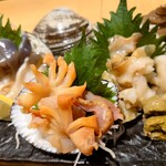 貝 刺身専門店 しらはら - 