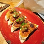 GYOZA SHACK - スパイシーラム餃子