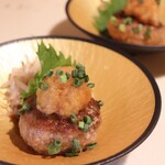 肉の匠 将泰庵 - 