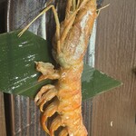 炭焼き屋 こもれ火 - 