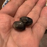 う越貞 - 丹波黒枝豆