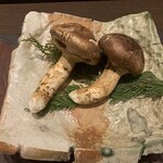 う越貞 - 本日の贖罪　松茸