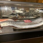 う越貞 - 本日の食材　とろさわら