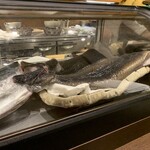 う越貞 - 本日の食材　海うなぎ