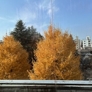 カフェフェルマータ_1