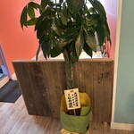 NiKi★DINER - 【2025.12.３(水)】店内の写真