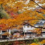 川安 - オープン前にぶらり香嵐渓でもみじ狩り