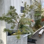 Little Cockoo - 入口横のオブジェ！？