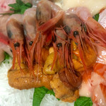 魚誠 - エビも美味いしウニはたっぷりだし(*^^*)