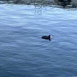 象の鼻カフェ - 