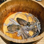 韓国料理 ナッチャン - 韓国から空輸されたタコ