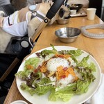 ドッグデプトプラスカフェ - 