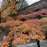 アジェ - 名勝の水路閣