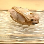 髙橋 謙太郎 - 【 はまぐり 】