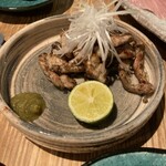 酒肴アウラ - 