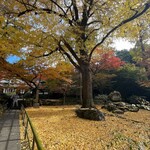 ひろちゃんラーメン - 素晴らしい