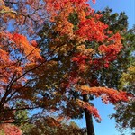 手作りハンバーグ フレンズ - 大興善寺