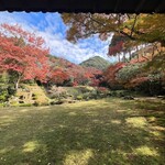 ひろちゃんラーメン - 紅葉の清水寺本坊庭園　11/24