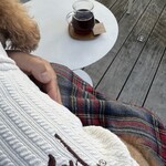 キタサンドウコーヒー - テラス席で