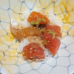 しらすくじら 極 - 