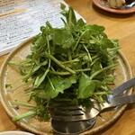 池下料理店 オオツボ - クレソンサラダ