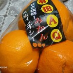 サンドラッグ - 