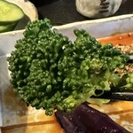 FUKU豆 - ブロッコリー