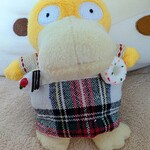 波なれ - Mさんちからお迎えしたコダックちゃん♡( 'Θ' )ﾖﾛｼｸ♡