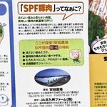 とんかつ とん樹 - 桜王　紹介