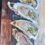 ホルモン酒場 - 