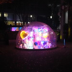 割烹さいお - TOKYO KAWAII DOME