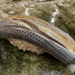 鮨桂太 - 小肌　◎◎