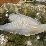 鮨桂太 - マコガレイのお造り