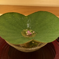 麻布さおとめ - 