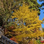 法多山名物だんご企業組合 - 