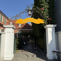 マダム・トキ - 